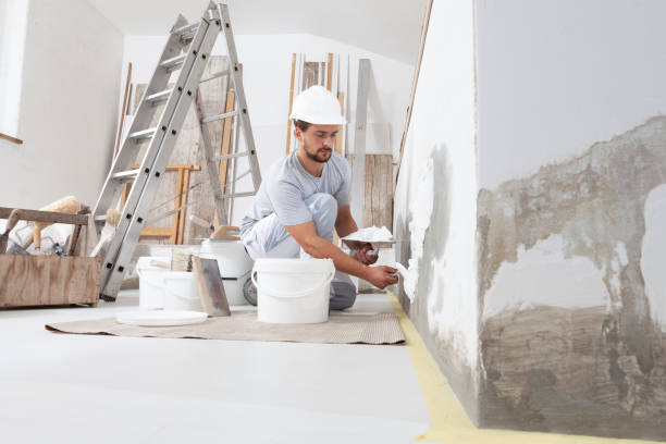 Best Wallpaper Removal and Painting  in Clearlake Riviera, CA